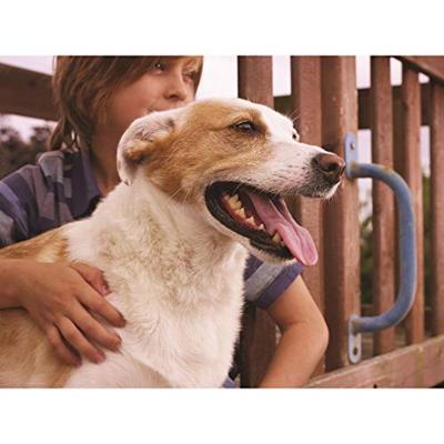 Petsafe hondenluik large wit / transparant - thumbnail