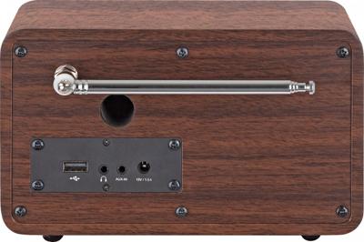 Telestar DIRA M 14i multifunctionele radio display USB mediafunctie DAB+/FM/Web
