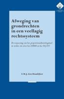 Afweging van grondrechten in een veellagig rechtssysteem - Marina den Houdijker - Paperback (9789058508805) - thumbnail