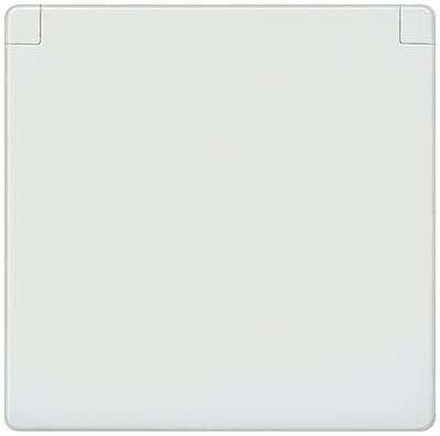 Siemens 5UH1205 Wandcontactdoos met randaarde Delta Wit Schakelmateriaal 1 stuk(s)