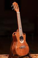 Ortega Eclipse Series ECLIPSE-CC4 concert ukelele met gigbag - thumbnail