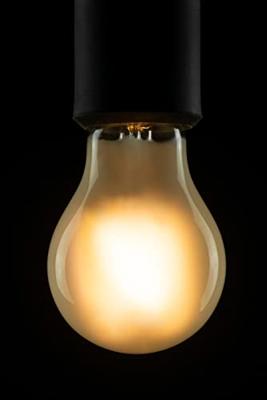 LED lamp 4W E27 filament Segula dimbaar 55325 CRI 90 20.000 uur