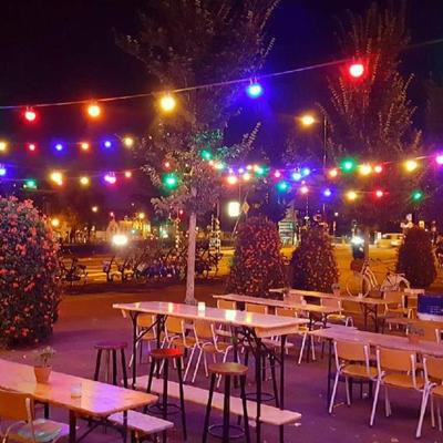 Patio Lichtsnoer kleur 10m met 12 LED
