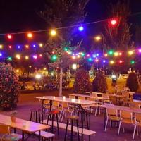 Patio Lichtsnoer kleur 10m met 12 LED - thumbnail