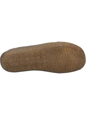 Westland VINCE 02 - alle Westland VINCE 02 - alle