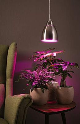 Paulmann 79765 Hanglamp E27 Paulmann 79765 Hanglamp E27