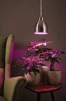 Paulmann 79765 Hanglamp E27 - thumbnail