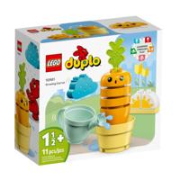 Lego ® duplo 10981 mijn eerste groeiende wortel - thumbnail