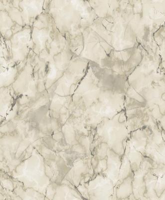 Galerie Natural FX 2 Behang met marmerprint - G67752
