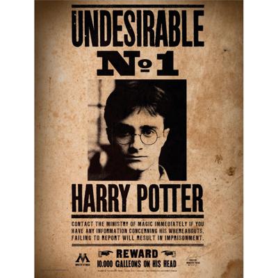 Harry Potter Glass Poster Undesirable No. 1 30 x 40 cm