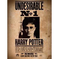 Harry Potter Glass Poster Undesirable No. 1 30 x 40 cm - thumbnail