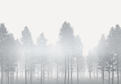 Noordwand Komar Raw Fotobehang Silver Haze - RSX8-055