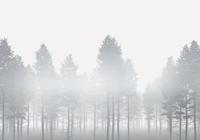 Noordwand Komar Raw Fotobehang Silver Haze - RSX8-055 - thumbnail