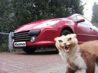 Kemo M100N Marterverschrikker 1 stuk(s)