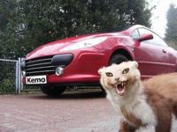 Kemo M100N Marterverschrikker 1 stuk(s) - thumbnail