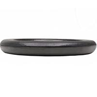 Halterschijven 2 st 2x15 kg gietijzer - thumbnail