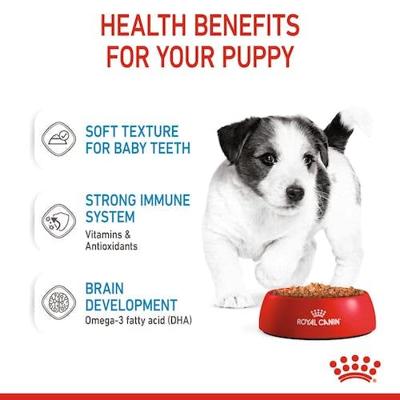 Royal Canin Mini natvoer voor puppy brokjes in saus zakjes 12x85gr