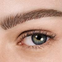 Maybelline TattooBrow 1D Pen - 120 Medium - Microblade Wenkbrauwpen - thumbnail