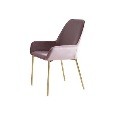 Eetkamerstoel Fiona Roze - Set van 2