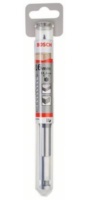 Bosch Accessoires Houtslangenboor, zeskant 16 x 100 x 160 mm, d 11,1 mm 1st - 2608585703 Bosch Accessoires Houtslangenboor, zeskant 16 x 100 x 160 mm, d 11,1 mm 1st - 2608585703
