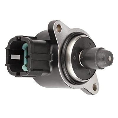 Hulst Piramidevormig