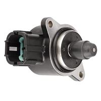 Hulst Piramidevormig - thumbnail