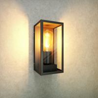 Industriële LED Wandlamp - Excl. E27 lichtbron - IP44 - Helder glas - Zwart - thumbnail