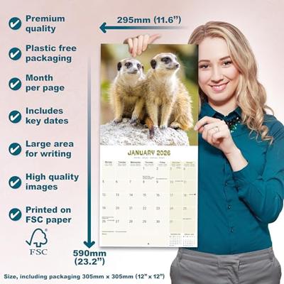 Stokstaartjes Kalender 2026 Stokstaartjes Kalender 2026