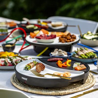 Princess 103080 dinner 4 all tafelgrill 4x250w