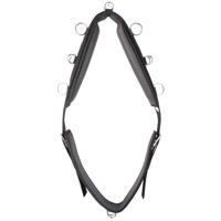 Pagony II Longeersingel zwart maat:cob - thumbnail