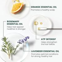 Rene Furterer Forticea Energizing Shampoo 500ml - thumbnail