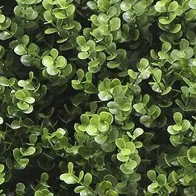 Kunstplanten mat 50x50 cm buxus Buitengewoon de Boet - Buitengewoon de boet Kunstplanten mat 50x50 cm buxus Buitengewoon de Boet - Buitengewoon de boet