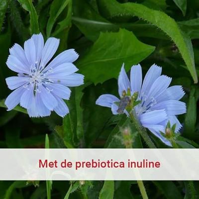 Probiotica