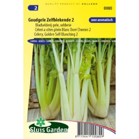 Bladselderij goudgele zelfblekende 2 zaden - thumbnail