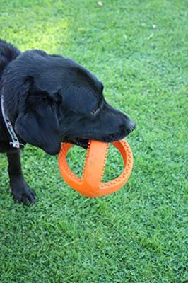 Happy Pet grubber interactieve voetbal oranje