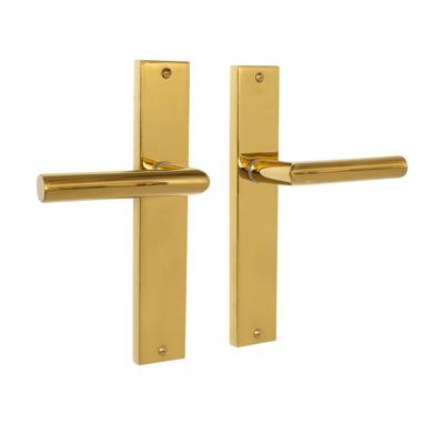 Mooi Deurbeslag Ferro geveerd op schild messing PVD