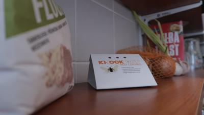 Knock Pest Levensmiddelenmottenval Delta