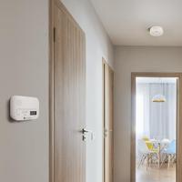 Smartwares FSE-19204 Rook- en koolmonoxidemelder werkt op batterijen Detectie van Rook, Koolmonoxide - thumbnail