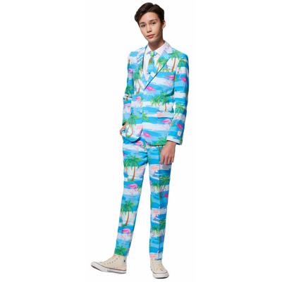 Opposuits TEEN BOYS Flaminguy