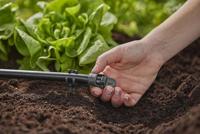 GARDENA Micro-Drip system 13205-20 Afdichtingsplug 13 mm (1/2) Ø - thumbnail