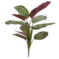 Calathea red Roseopicta bush kunstplant 45cm - thumbnail