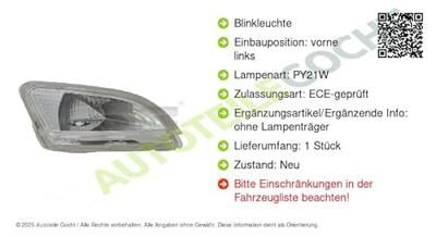 Knipperlicht links 120148012