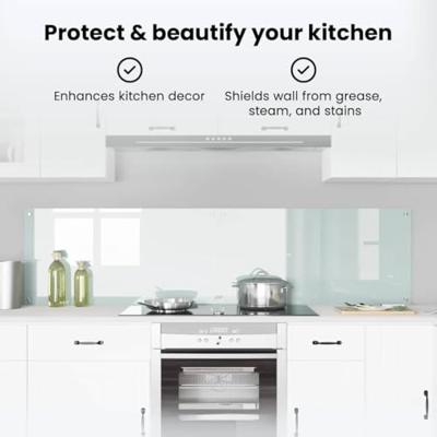 VidaXL Keuken achterwand 2 pcs wit 100 x 50 cm gehard glas VidaXL Keuken achterwand 2 pcs wit 100 x 50 cm gehard glas