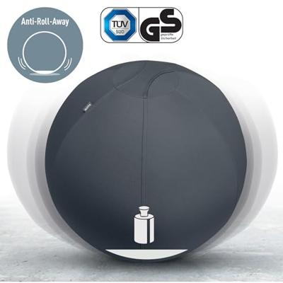 Leitz Ergo Active 65420089 1 stuk(s) - thumbnail