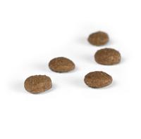 Josera 9702 droogvoer voor kat 2 kg Adult Gevogelte, Rijst - thumbnail