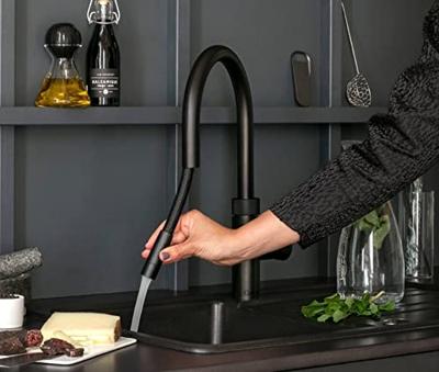 Quooker COMBI+ Flex Black