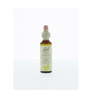 Bach Flower Remedies Paardekastanje 35 - thumbnail