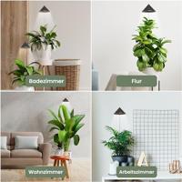 Venso LED-plantenlamp SUNLiTE LED vast ingebouwd 7 W Neutraalwit 1 stuk(s) - thumbnail