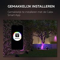 Circle Smart prikspotLink Spot - 429282 - thumbnail