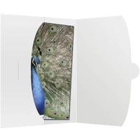 Daiber 09021 09021 Fotohoezen Wit - thumbnail